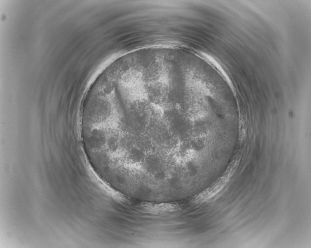 X0000087670851200705251617