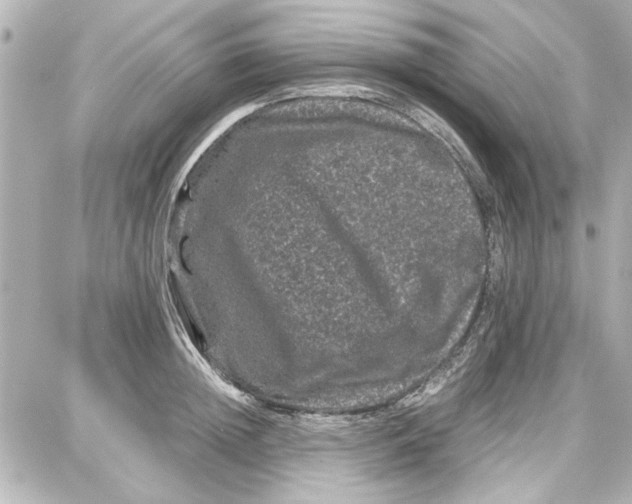 X0000087670852200705251617