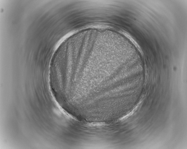 X0000087670853200705251617