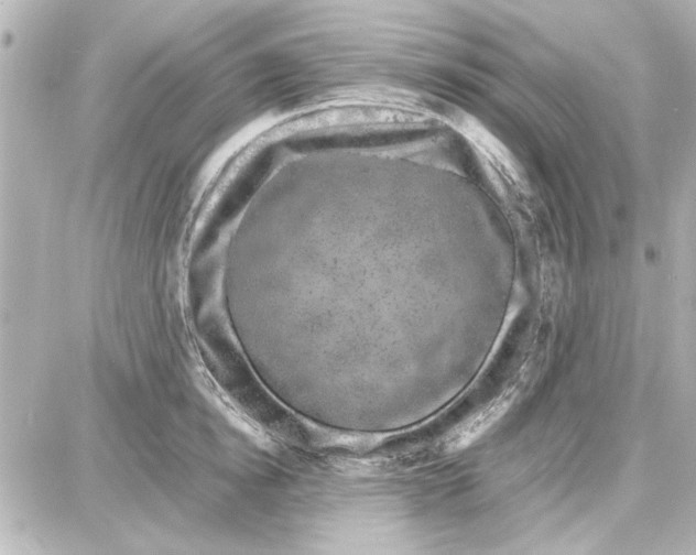 X0000087670854200705251617