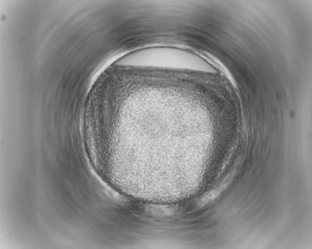 X0000087670855200705251617