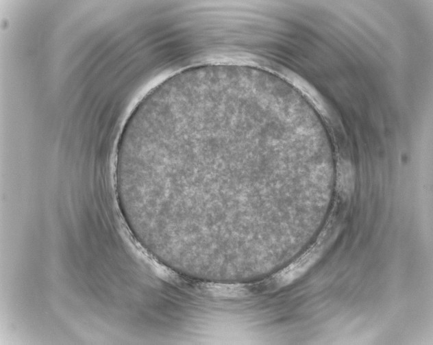 X0000087670856200705251617