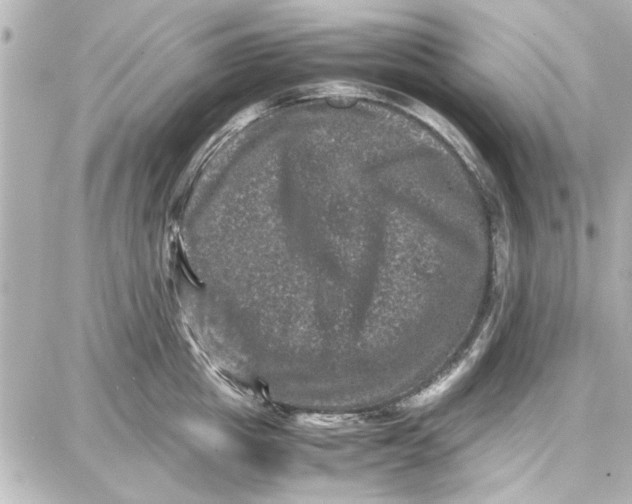 X0000087670857200705251617