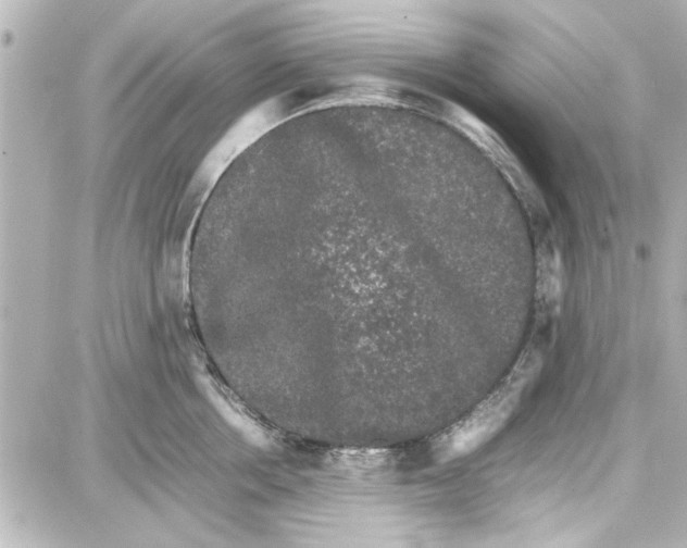 X0000087670858200705251617