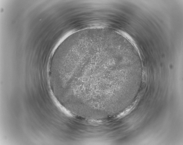 X0000087670859200705251617