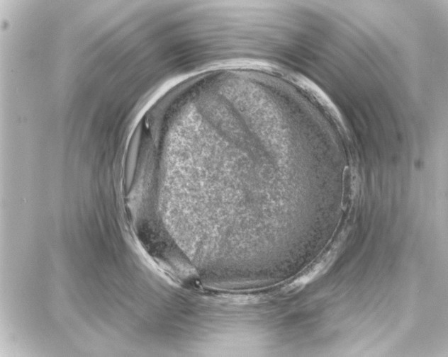 X0000087670860200705251617