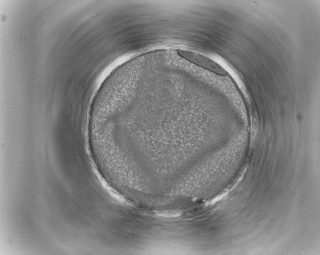 X0000087670861200705251617