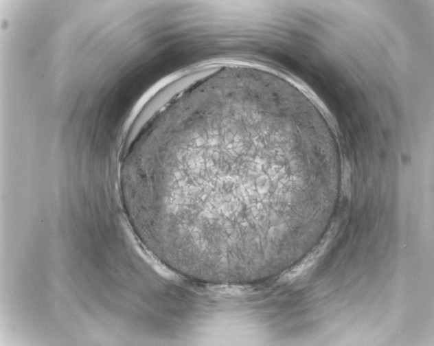 X0000087670862200705251617