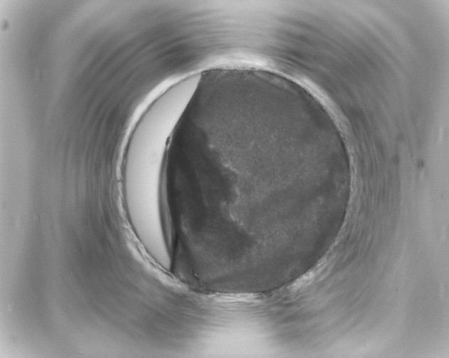 X0000087670864200705251617