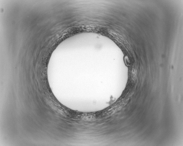 X0000087670865200705251616