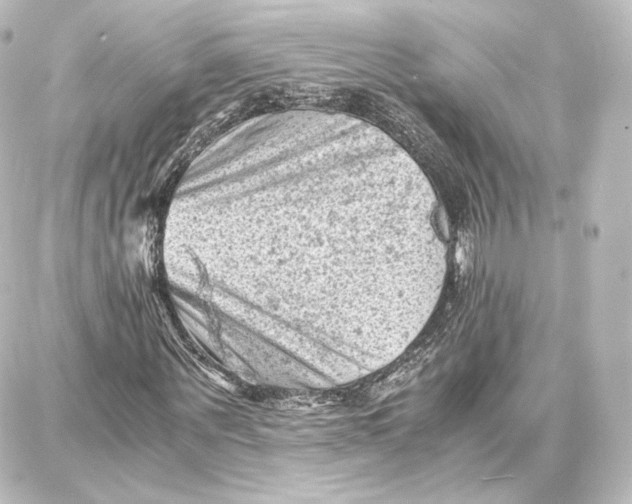 X0000087670867200705251616