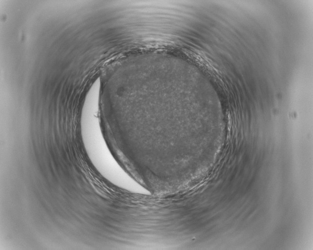 X0000087670868200705251616