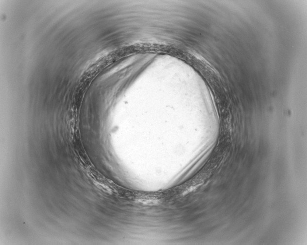 X0000087670870200705251616