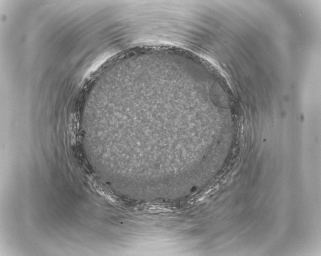 X0000087670871200705251616