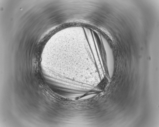 X0000087670872200705251616