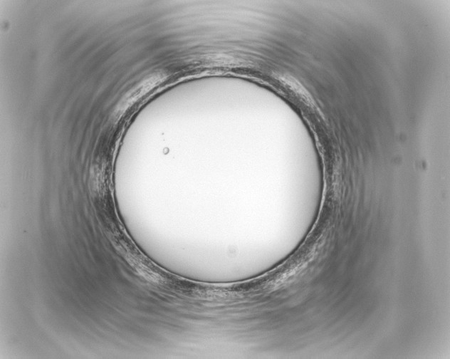 X0000087670873200705251616