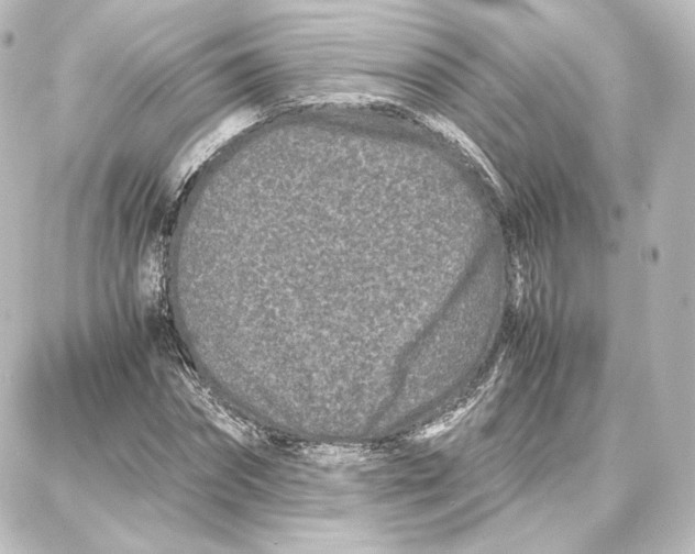 X0000087670874200705251616