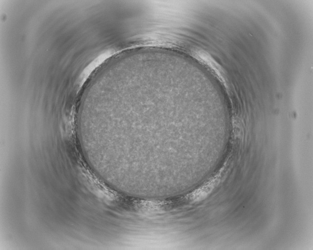 X0000087670875200705251616