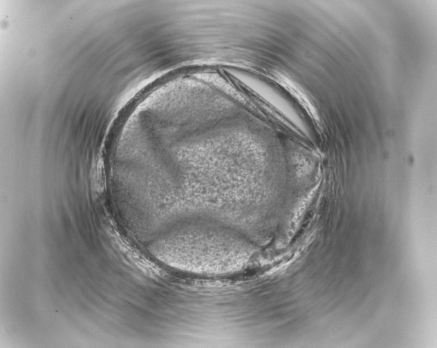 X0000087670876200705251616