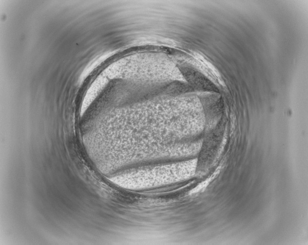 X0000087670877200705251616