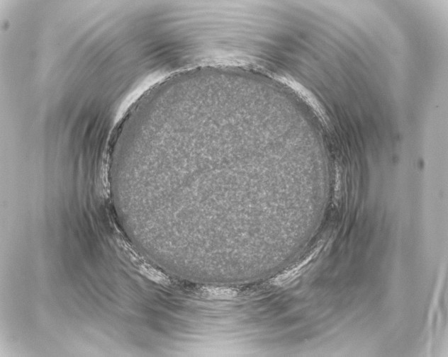 X0000087670878200705251616