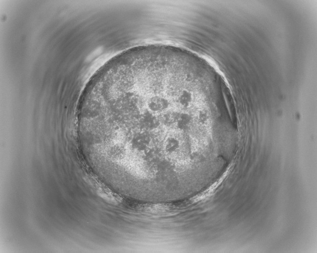 X0000087670879200705251616