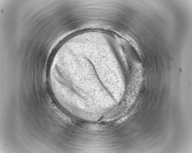 X0000087670880200705251616