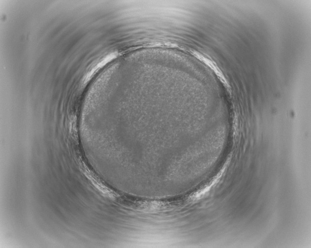 X0000087670881200705251616