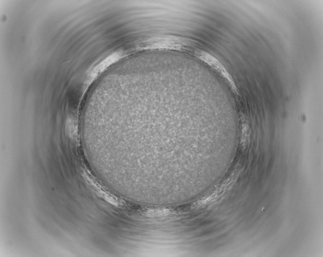 X0000087670882200705251616