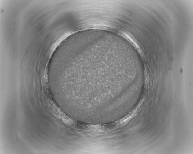 X0000087670883200705251616