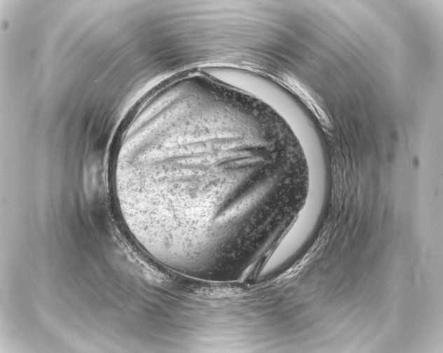 X0000087670884200705251616