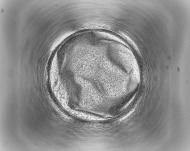 X0000087670885200705251616