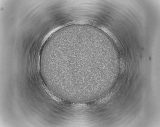 X0000087670886200705251616