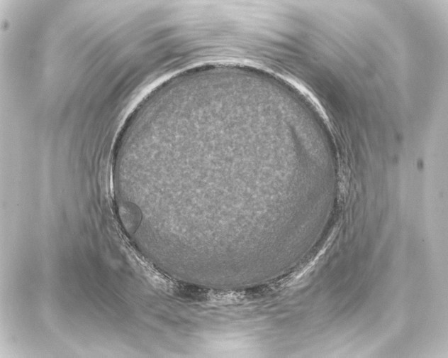 X0000087670887200705251616