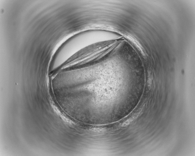 X0000087670888200705251616