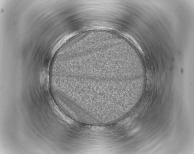 X0000087670890200705251616