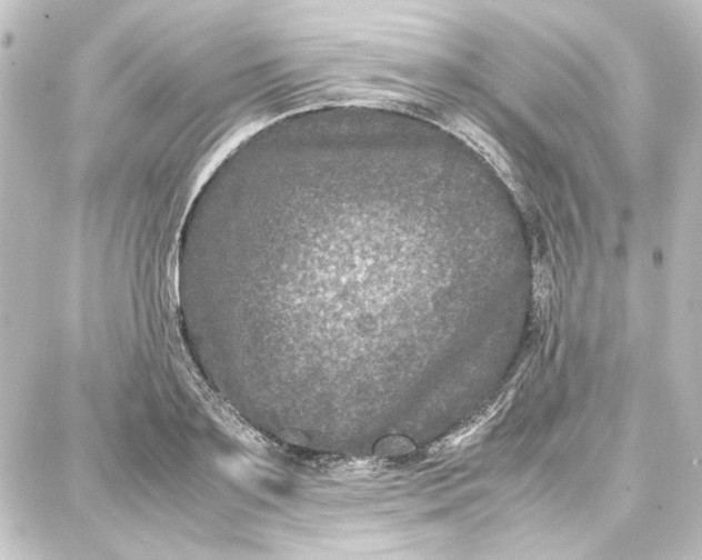 X0000087670891200705251616