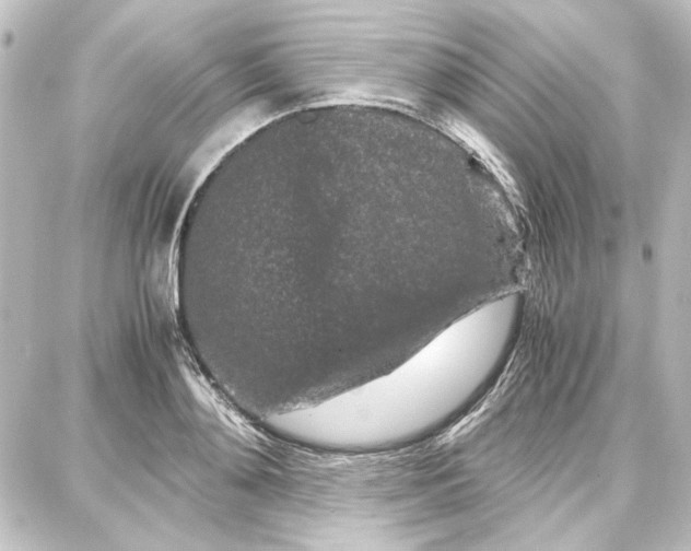 X0000087670892200705251616