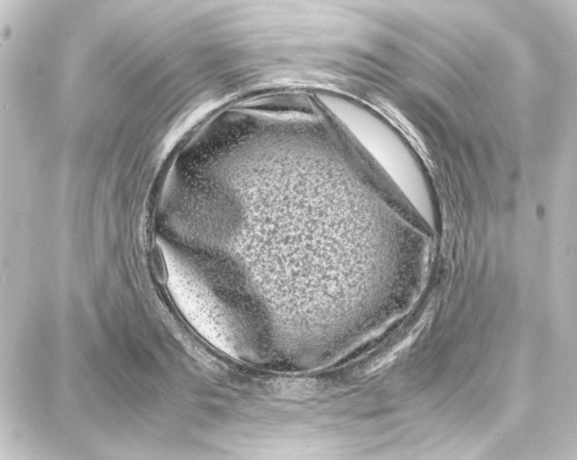 X0000087670893200705251616