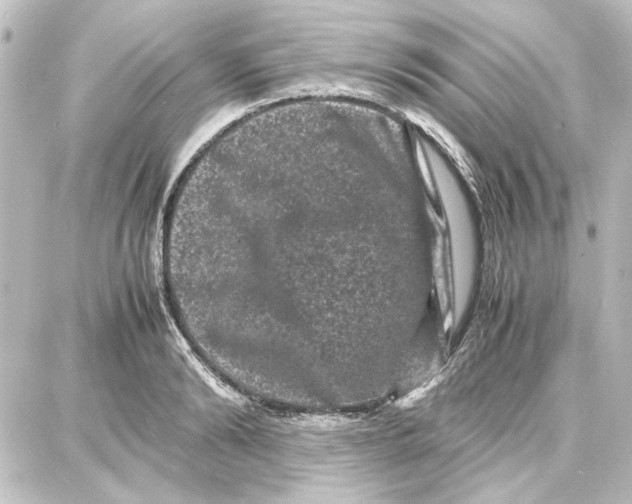 X0000087670894200705251616