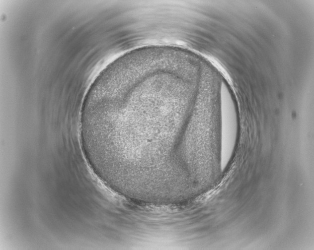 X0000087670895200705251616