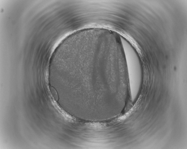 X0000087670896200705251616