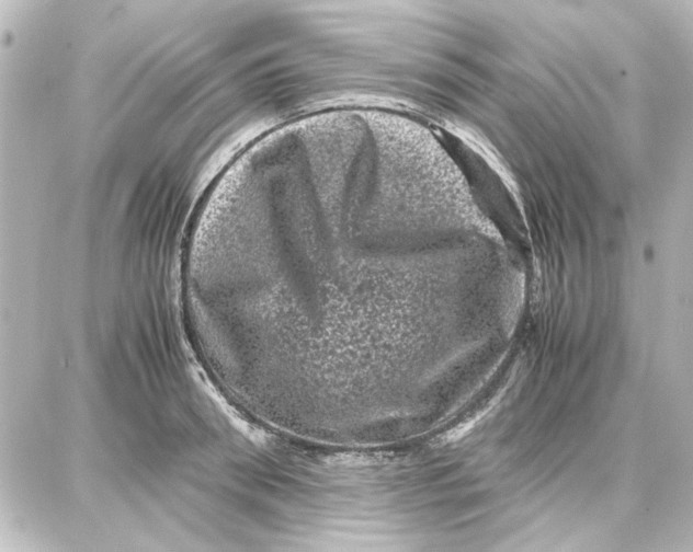 X0000087670898200705251616