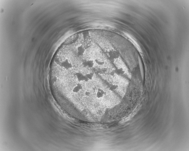 X0000087670899200705251616