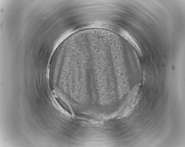 X0000087670900200705251616