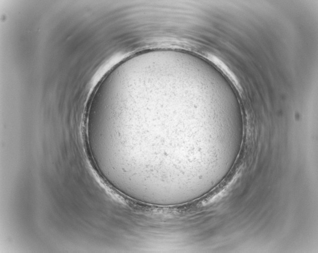 X0000087670901200705251616