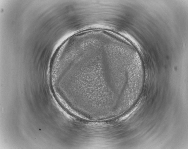 X0000087670902200705251616