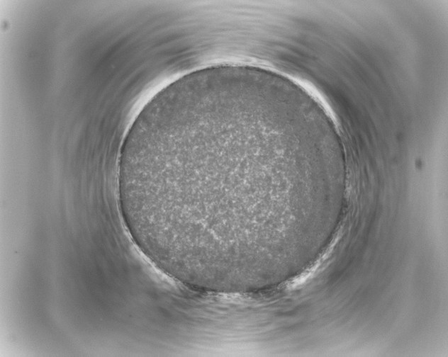 X0000087670903200705251616