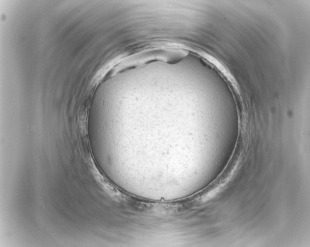 X0000087670905200705251616