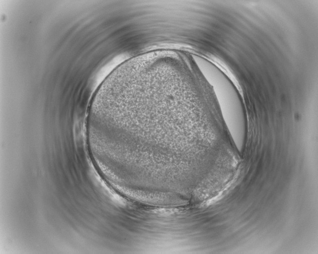 X0000087670906200705251616